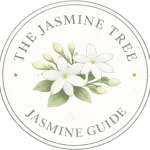 jasmine-core-programs (1)
